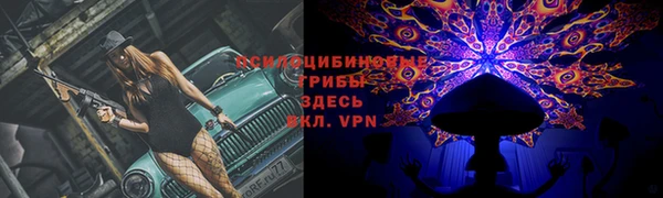 альфа пвп Куйбышев