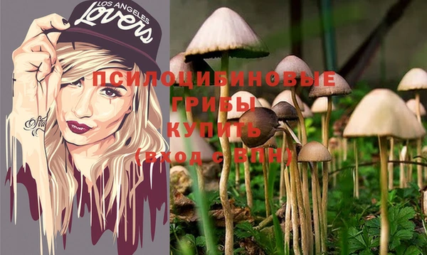 альфа пвп Куйбышев