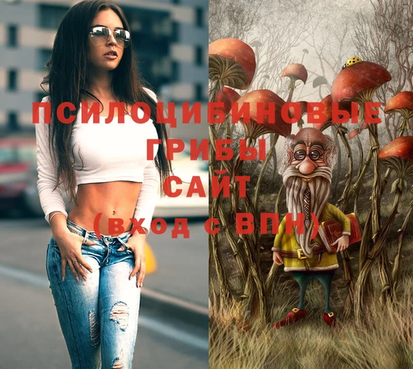 альфа пвп Куйбышев
