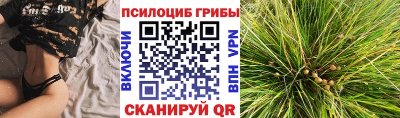 Галлюциногенные грибы MAGIC MUSHROOMS  Купить где  Приморск 